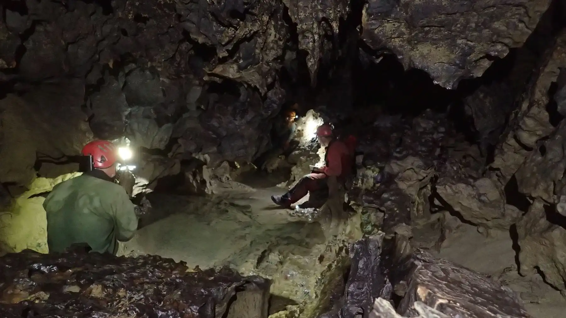 Científicos resaltan riqueza biológica de cuenca subterránea del Alto Mayo. Cortesía