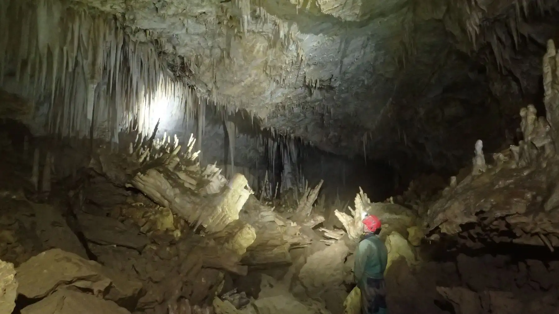 Científicos resaltan riqueza biológica de cuenca subterránea del Alto Mayo. Cortesía