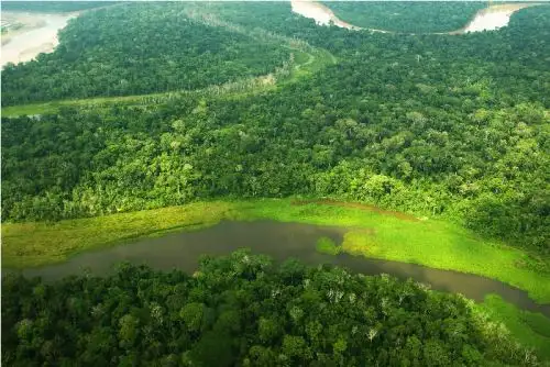 Un estudio dirigido por la por la Unión Internacional para la Conservación de la Naturaleza (UICN) descubrió que los bosques de las tierras indígenas son una profilaxis contra la amenaza de las enfermedades.