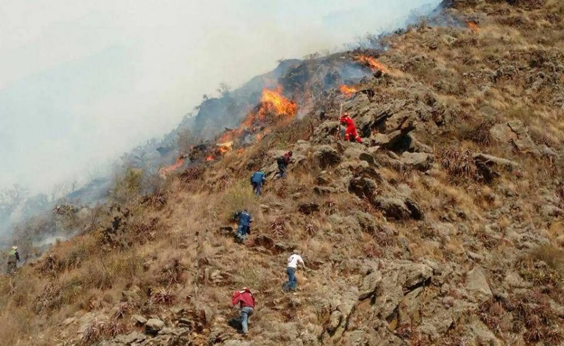 El incendio forestal de considerables proporciones que acontece en el sector de Piscacucho, distrito de Ollantaytambo, en la provincia cusqueña de Urubamba, no afecta el ingreso de turistas al Camino Inca ni a los sitios arqueológicos de la zona, precisó hoy la Dirección Desconcentrada de Cultura de Cusco.
