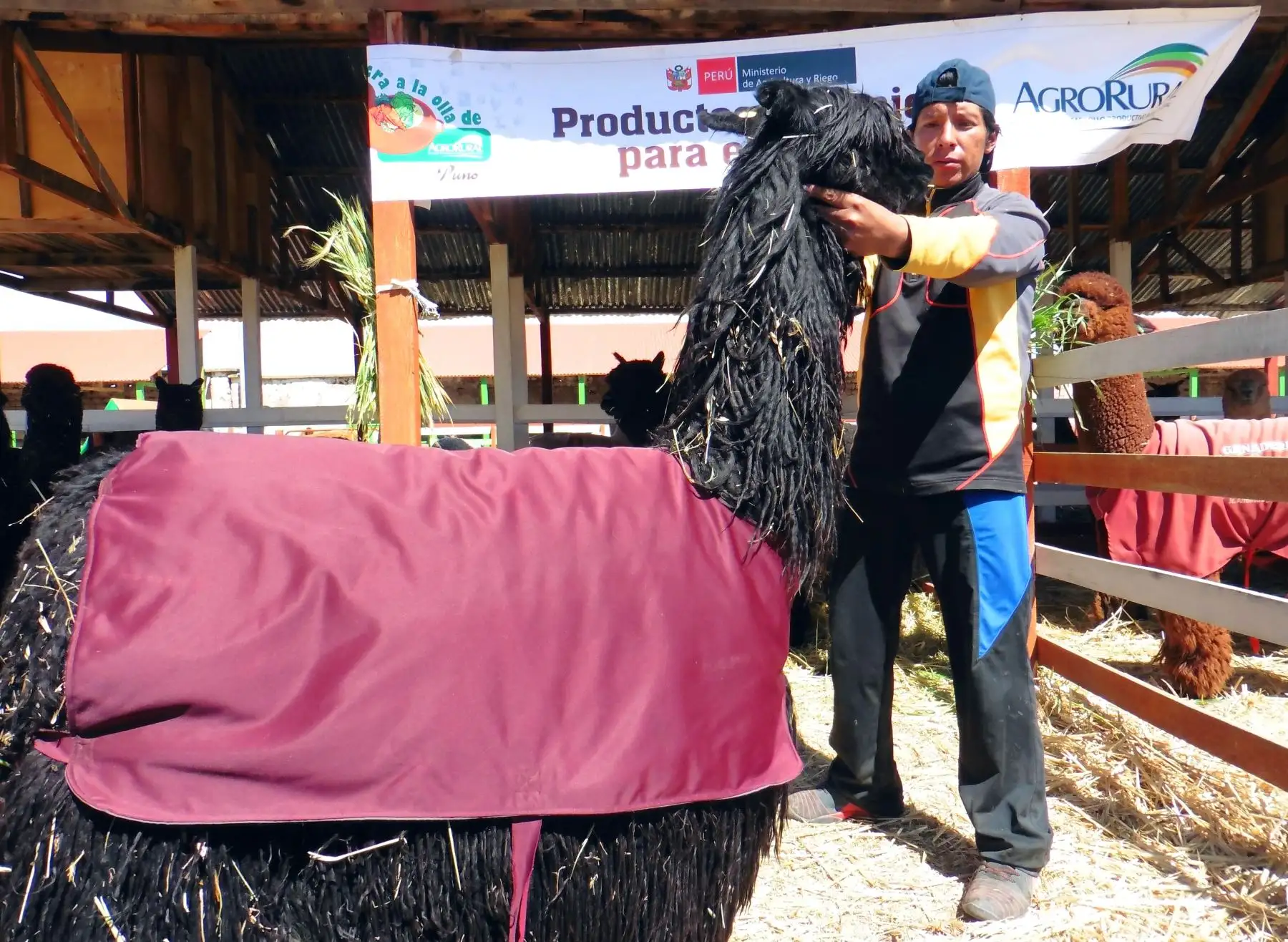 Foto: ANDINA/Difusión.