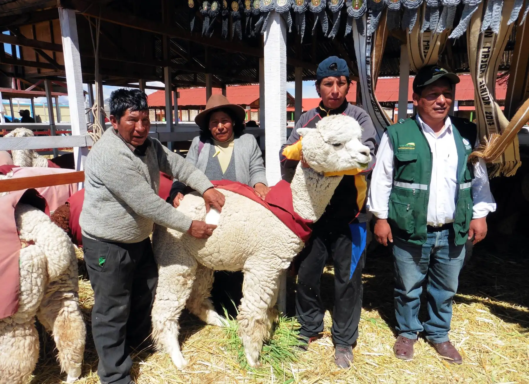 Foto: ANDINA/Difusión.