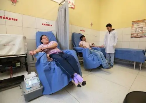 Foto: ANDINA/Difusión.