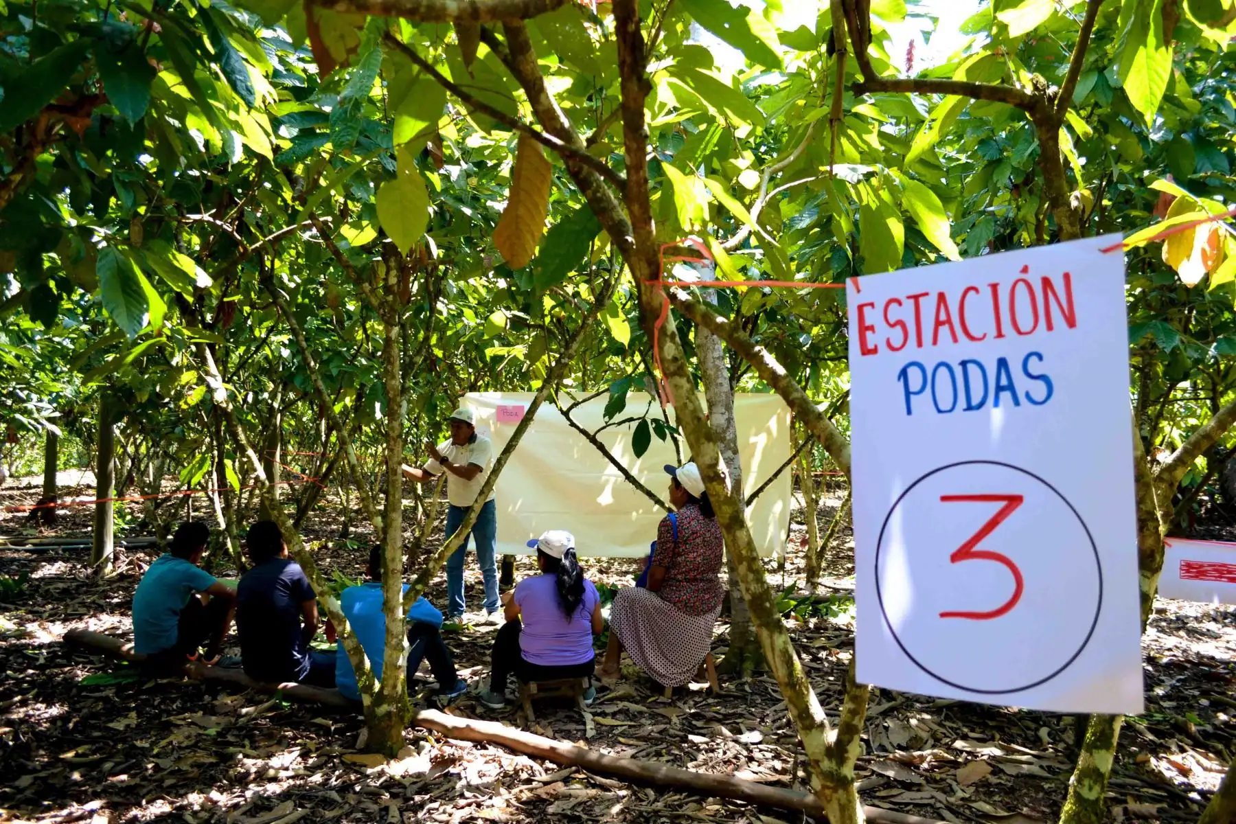 ANDINA/Difusión