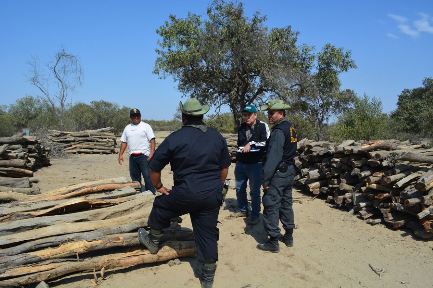 Operaciones contra la tala ilegal. ANDINA/Difusión