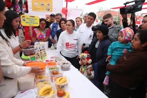 Foto: ANDINA/Vidal Tarqui