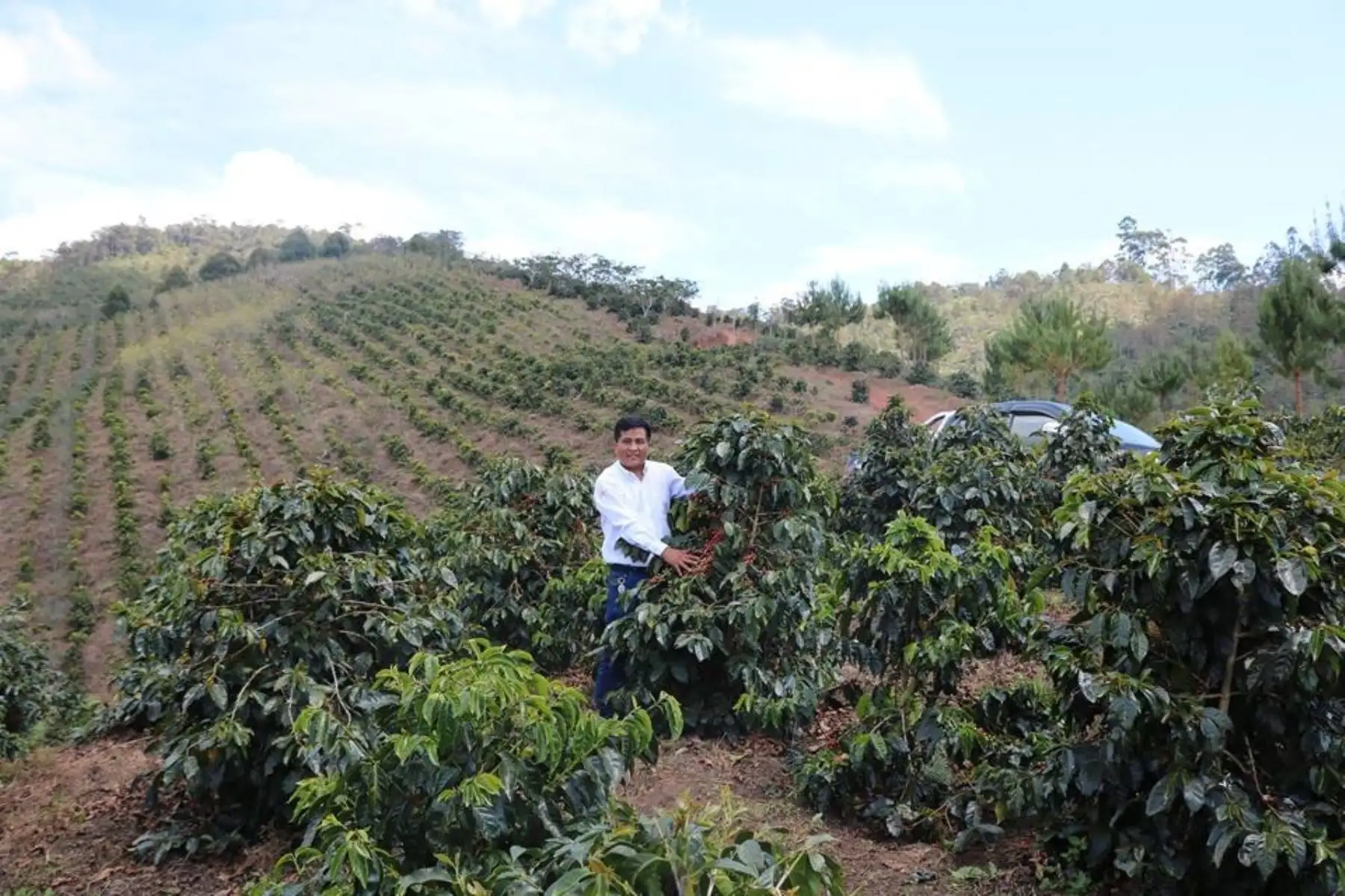 Productor cafetalero del distrito de Villa Rica.