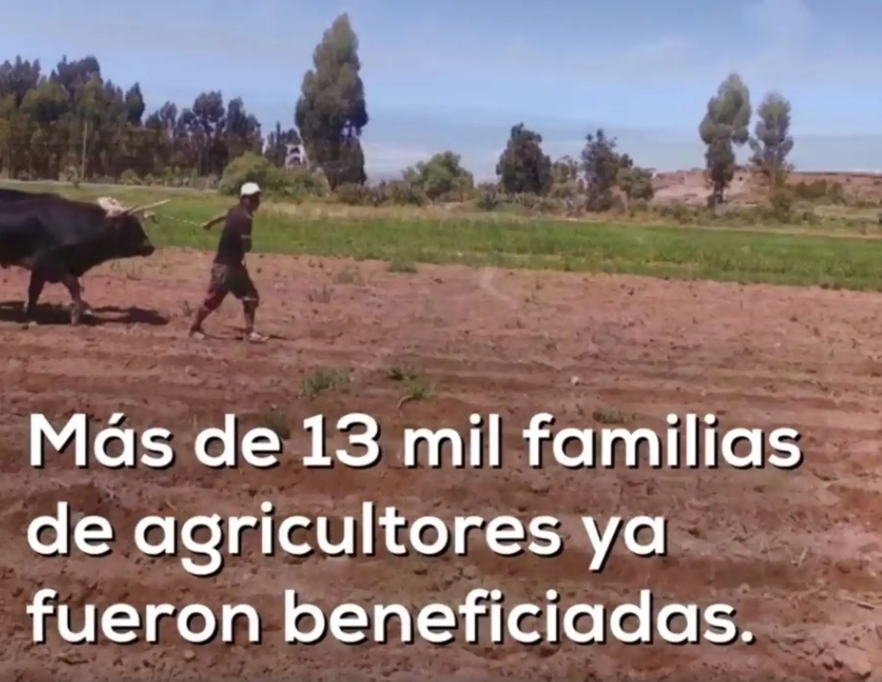 Más de 13,000 pequeños productores agropecuarios afectados por El Niño Costero accedieron al Bono Extraordinario de Mitigación Agropecuaria por Emergencia, lo que les permite rehabilitar y recuperar su capacidad productiva tras los embates de este evento climático severo, informó el Ministerio de Agricultura y Riego (Minagri).