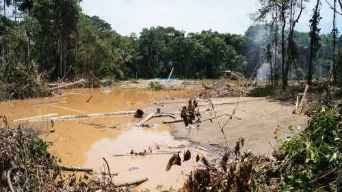 Con el objetivo de mejorar el marco normativo para el desarrollo del proceso de investigación de los delitos ambientales, el Ministerio del Ambiente aprobó el nuevo reglamento de la Ley General del Ambiente, a fin de brindar mayores herramientas a los fiscales para la evaluación y sustentación de los casos y obtener así sanciones efectivas.