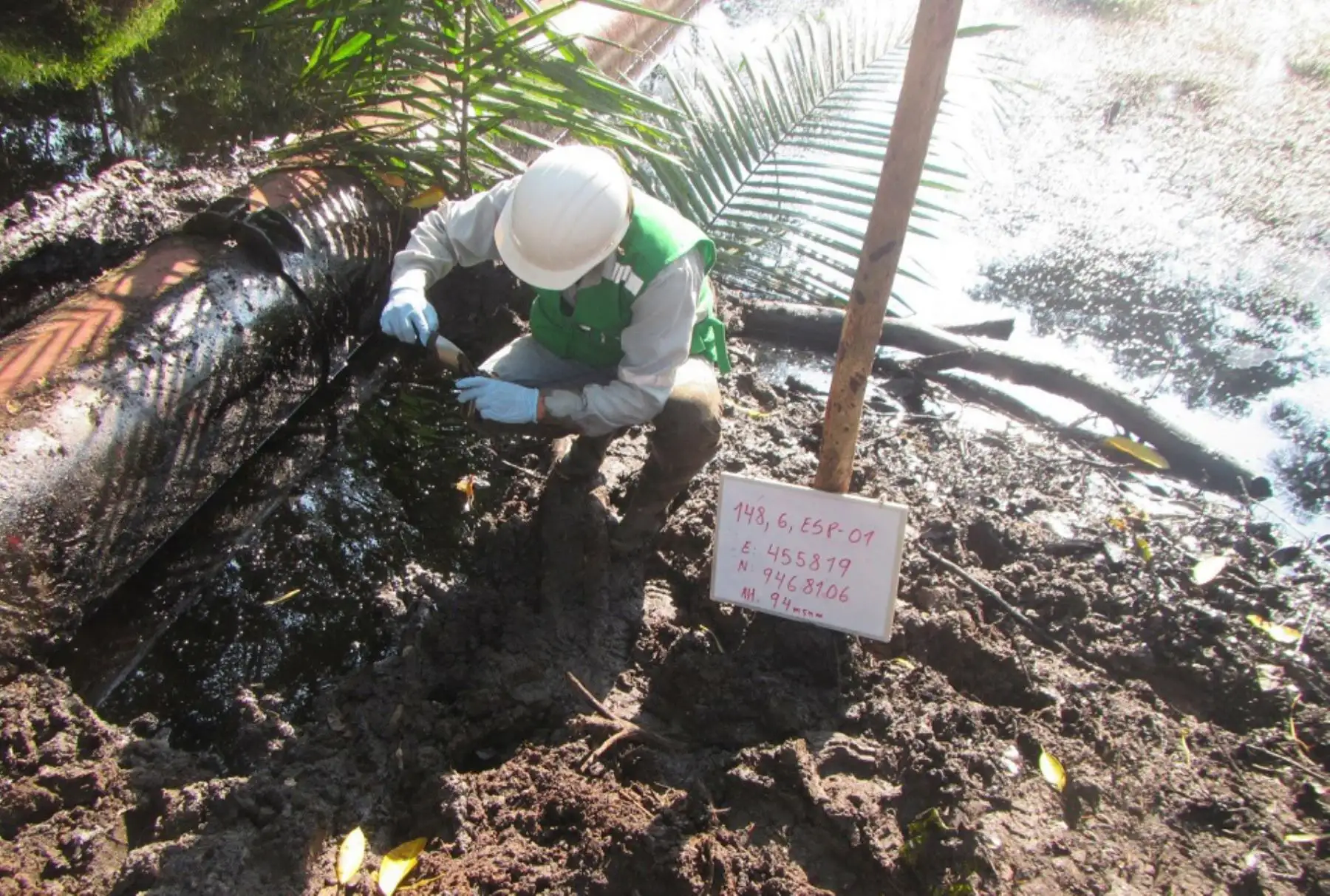 La fuga de hidrocarburos ocurrida el último 4 de setiembre en una línea de conducción de la empresa Sapet Development Inc. Sucursal Perú, en el distrito de Lobitos, provincia de Talara, departamento de Piura, se habría producido debido al corte de la misma realizada por terceros.ANDINA/Difusión