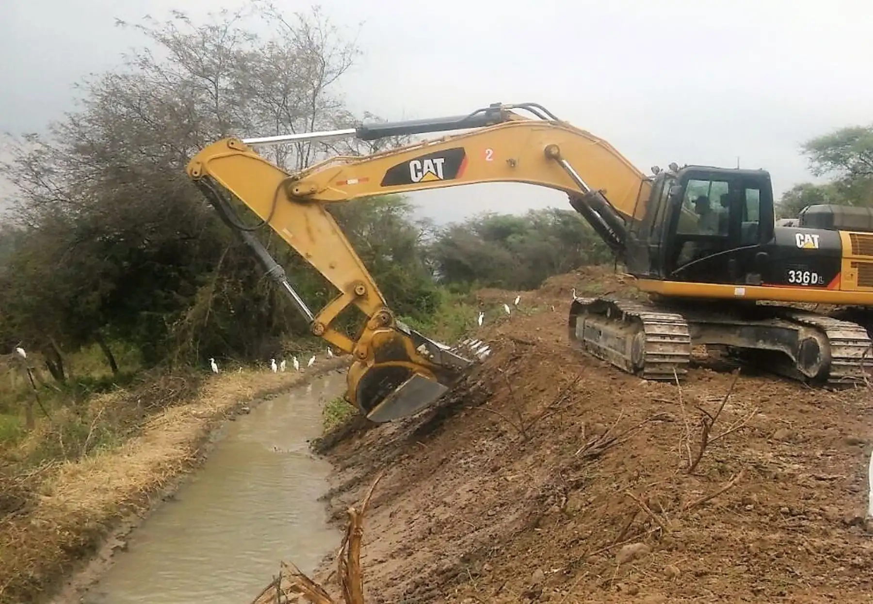 Foto: ANDINA/Difusión.