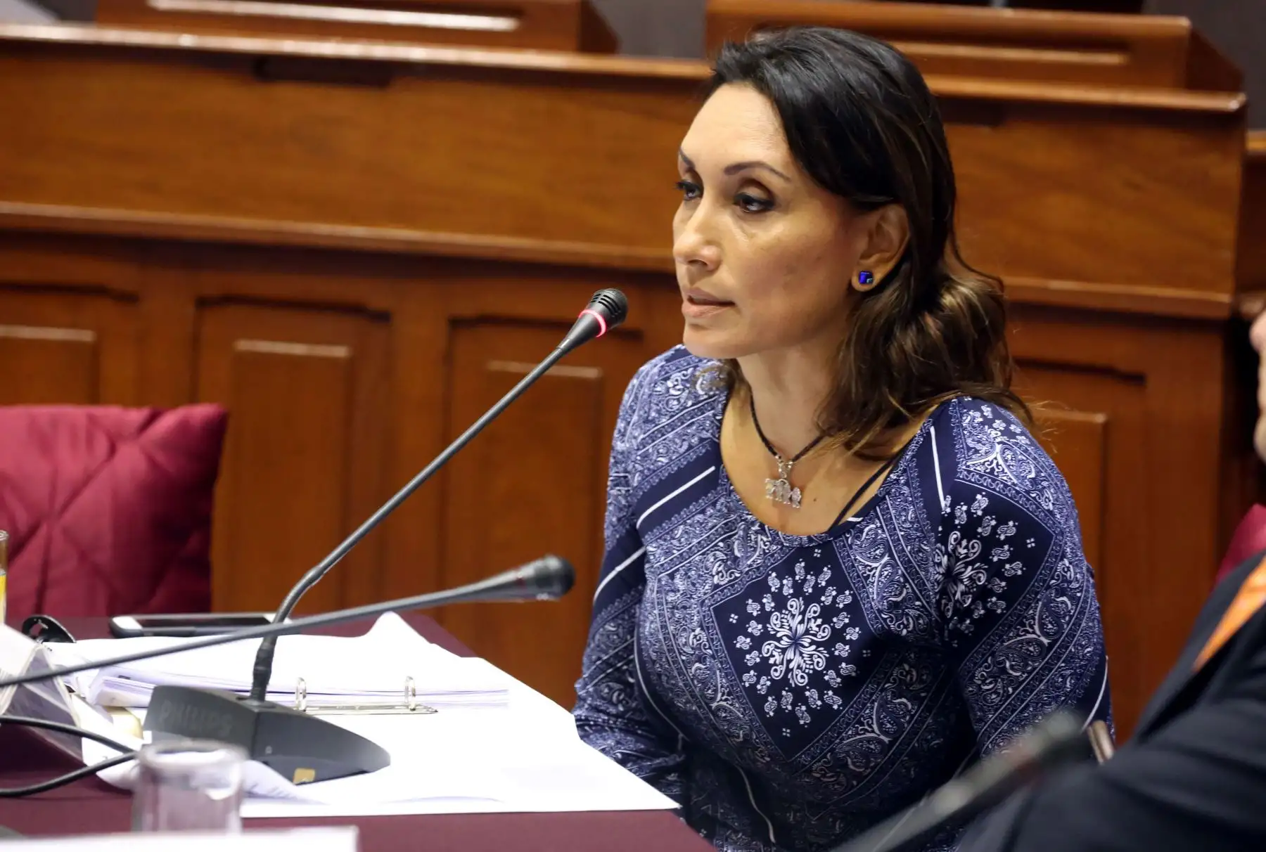 Foto: ANDINA/Difusión.
