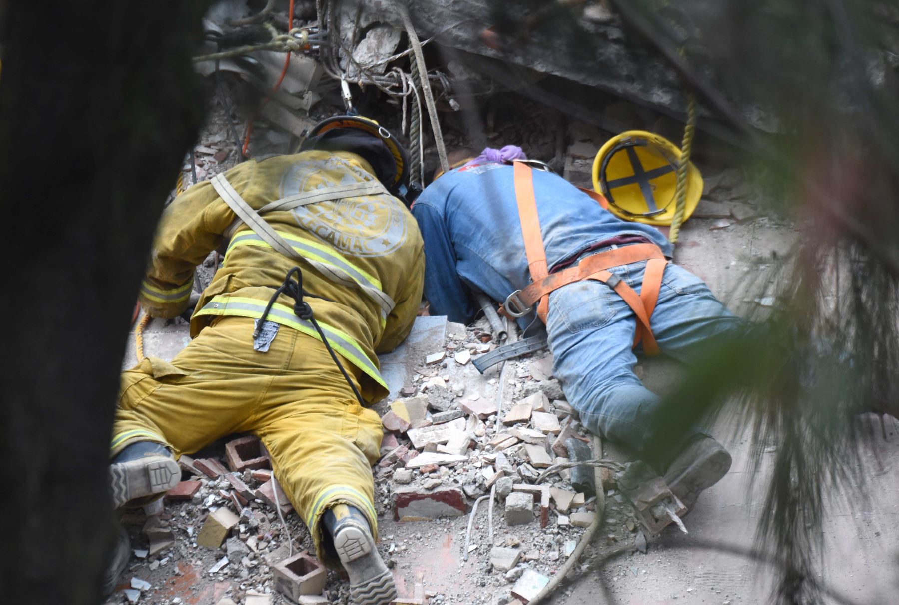 Cientos de mexicanos, entre brigadistas y voluntarios, continúan intentando rescatar a personas con vida de los edificios colapsados tras el terremoto. Foto: AFP