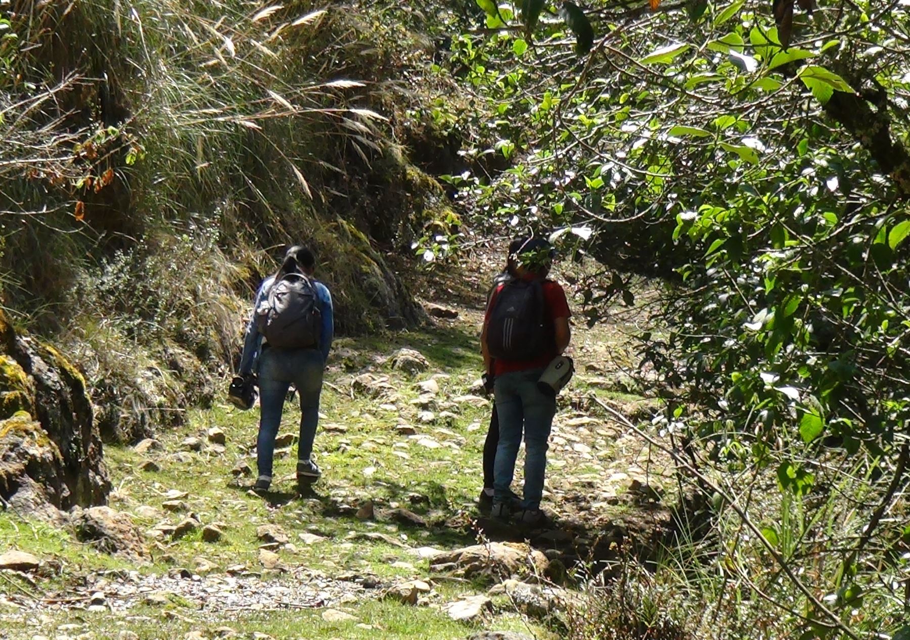 Comunidad Saño, en Huancayo, impulsa la protección de área de conservación Ilish Pichacoto. ANDINA/Pedro Tinoco
