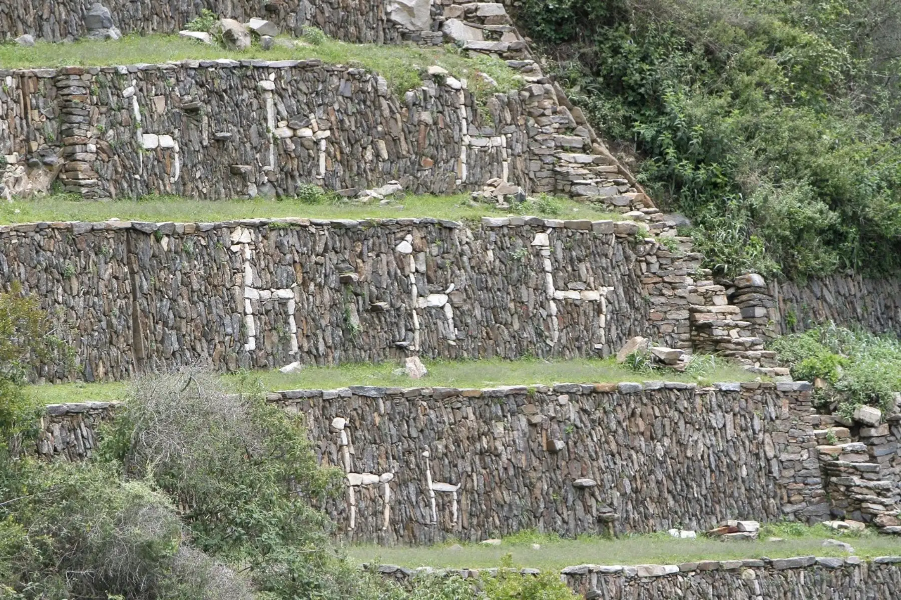 Aplicativo permitirá recorrido virtual en el parque arqueológico Choquequirao, en Cusco. ANDINA/Percy Hurtado
