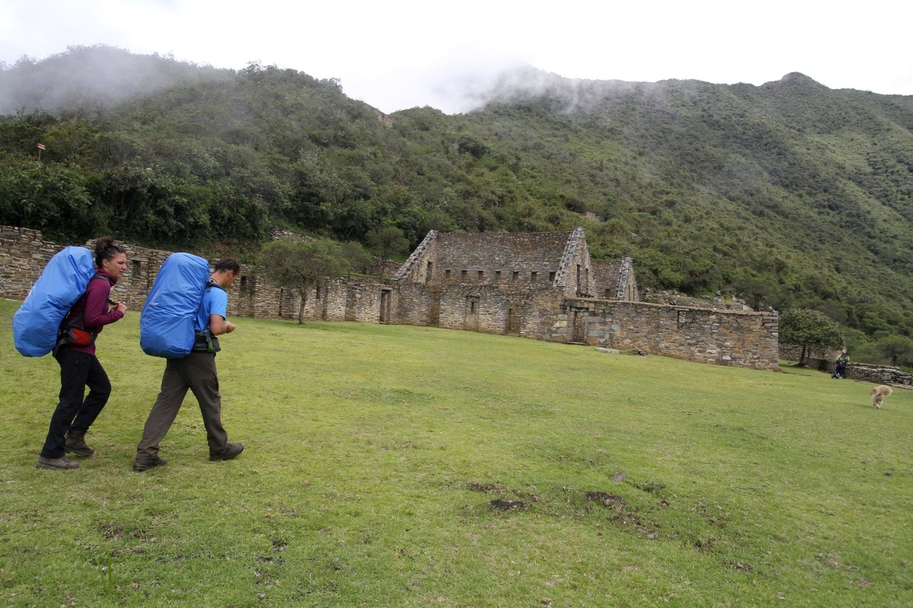 Aplicativo permitirá recorrido virtual en el parque arqueológico Choquequirao, en Cusco. ANDINA/Percy Hurtado