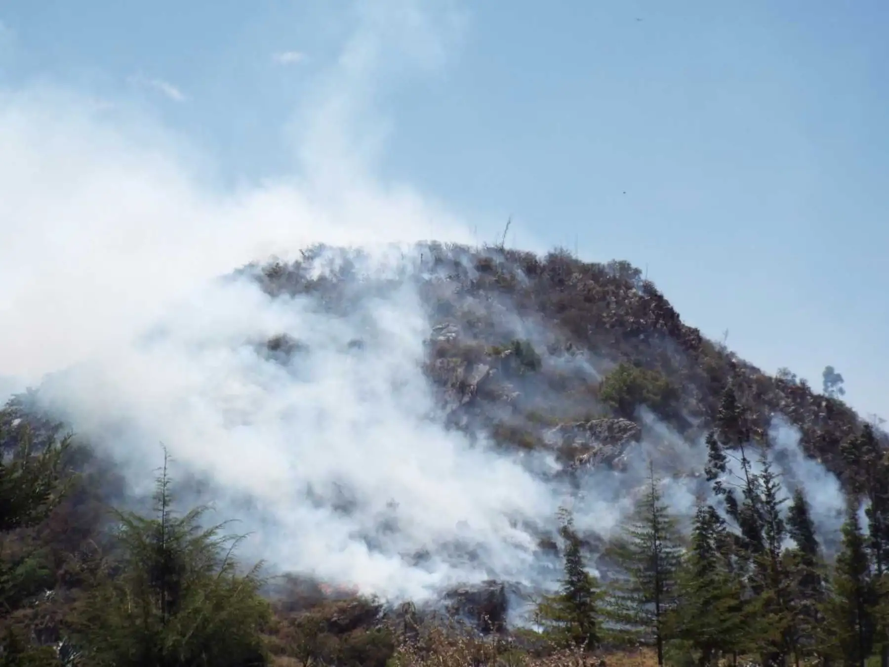 Los incendios forestales son infracciones muy graves y tienen una sanción mayor a las 10 UIT, de acuerdo a la Ley Forestal y de Fauna Silvestre – Ley 29763.