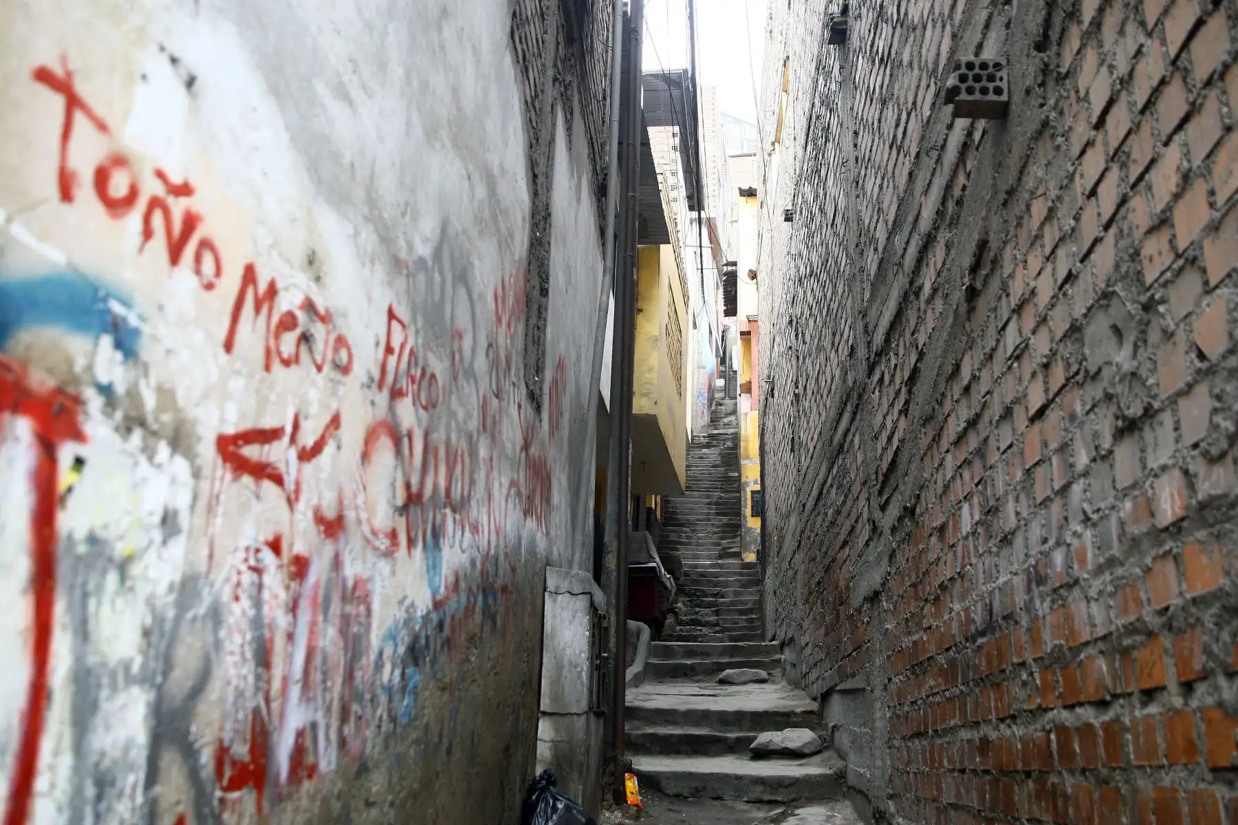 Foto: ANDINA/Luis Iparraguirre.