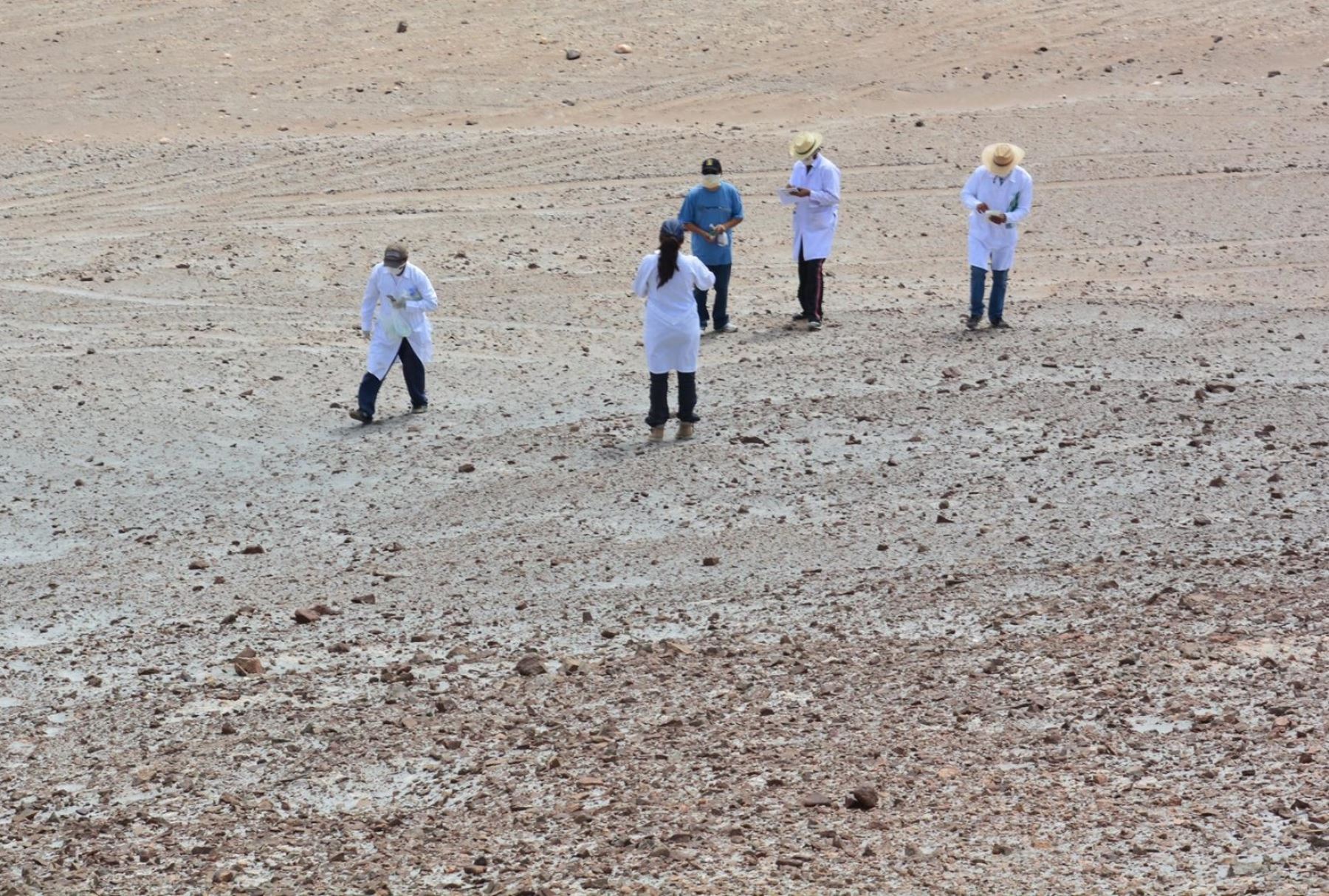 Misión de Estados Unidos, respaldada por la NASA, estudiará desierto de La Joya, en Arequipa. Foto:  Cortesía/Saúl Pérez