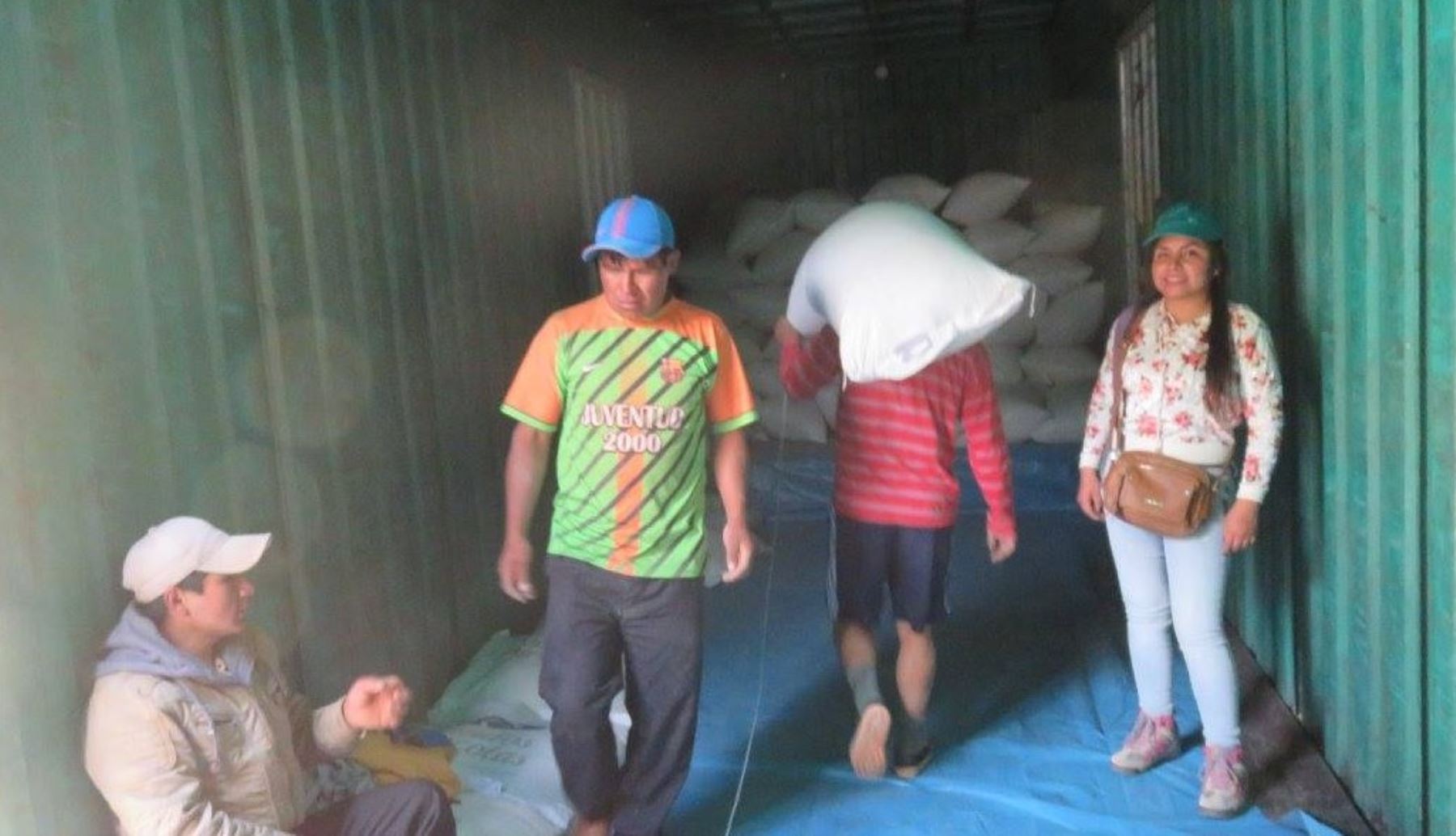 Esta semana se envió 32 toneladas de quinua a Lima y la próxima semana se enviará un segundo lote, para procesar y seleccionar el producto, a fin  de llevar a cabo la exportación.