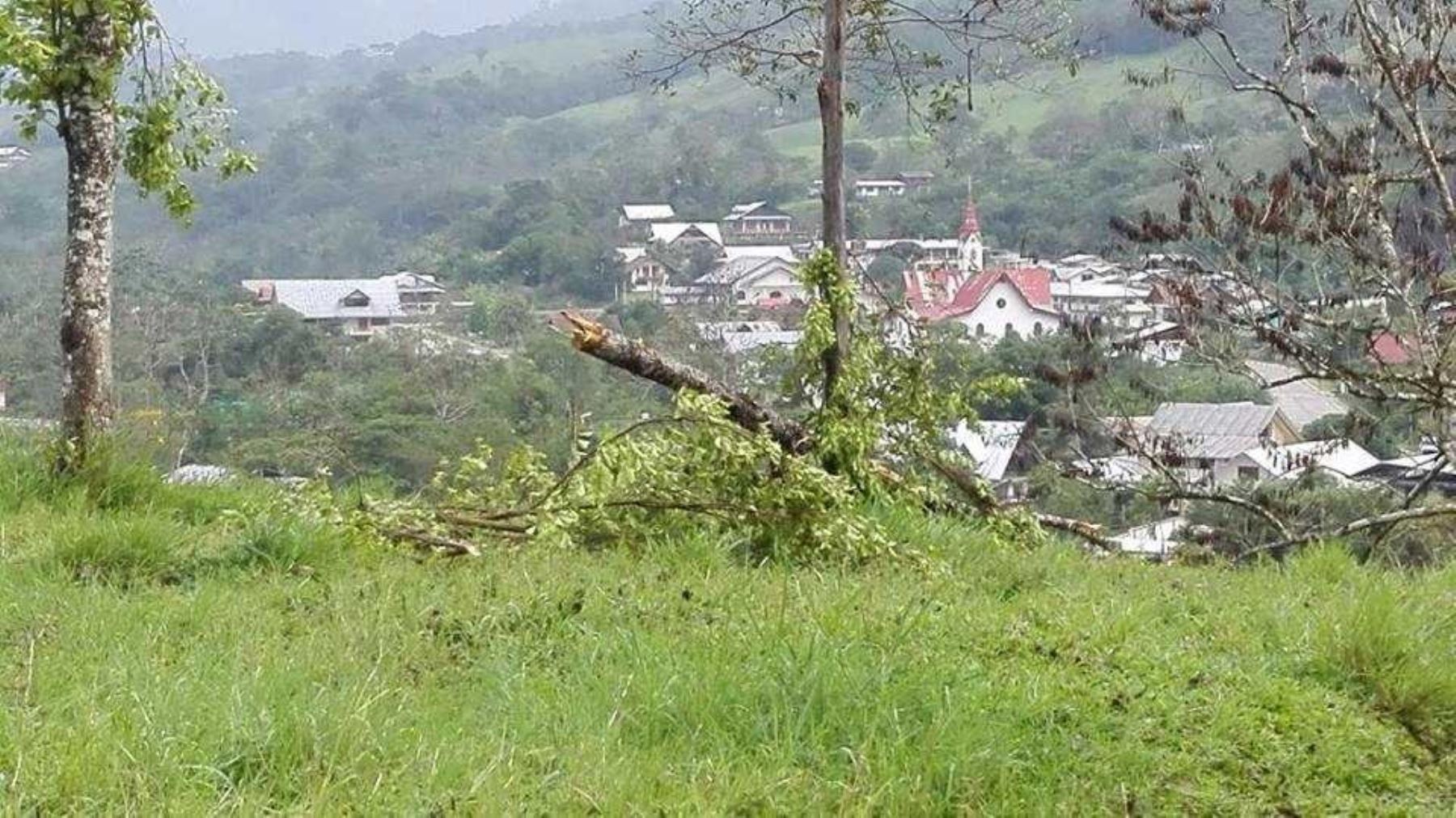 vientos intensos, acompañados de lluvia, se presentaron en la tarde de ayer y causaron daños en viviendas. Además provocaron la caída de árboles.