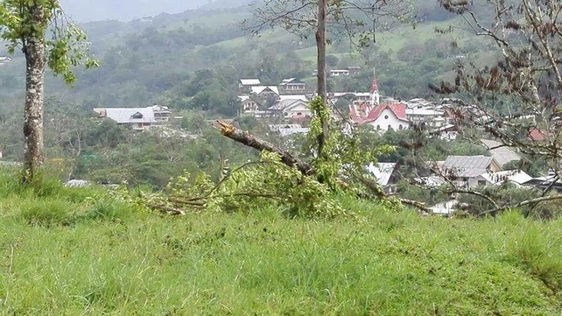 vientos intensos, acompañados de lluvia, se presentaron en la tarde de ayer y causaron daños en viviendas. Además provocaron la caída de árboles.
