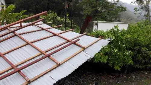 Foto: ANDINA/Difusión.