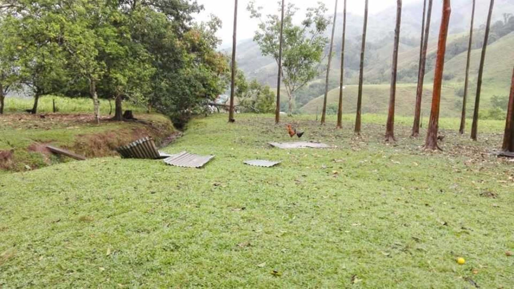 Pasco: fuertes vientos afectan techos de viviendas y albergue en distrito de Pozuzo