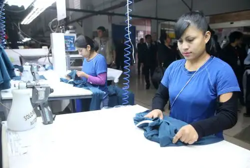 Foto: ANDINA/Vidal Tarqui.