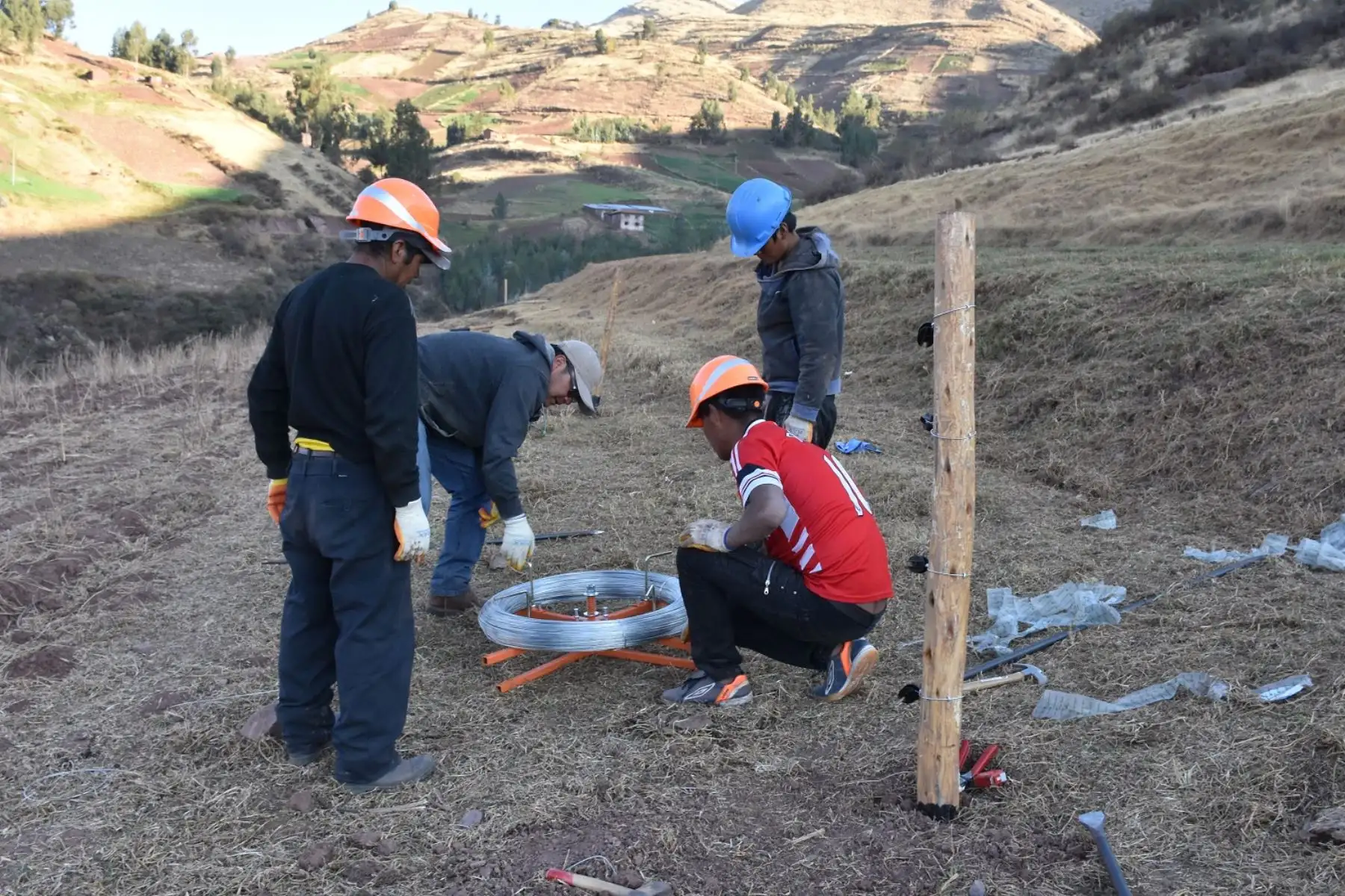 Científicos de Inaigem instalan parcelas para investigar ecosistemas de montaña en Cusco. ANDINA/Difusión
