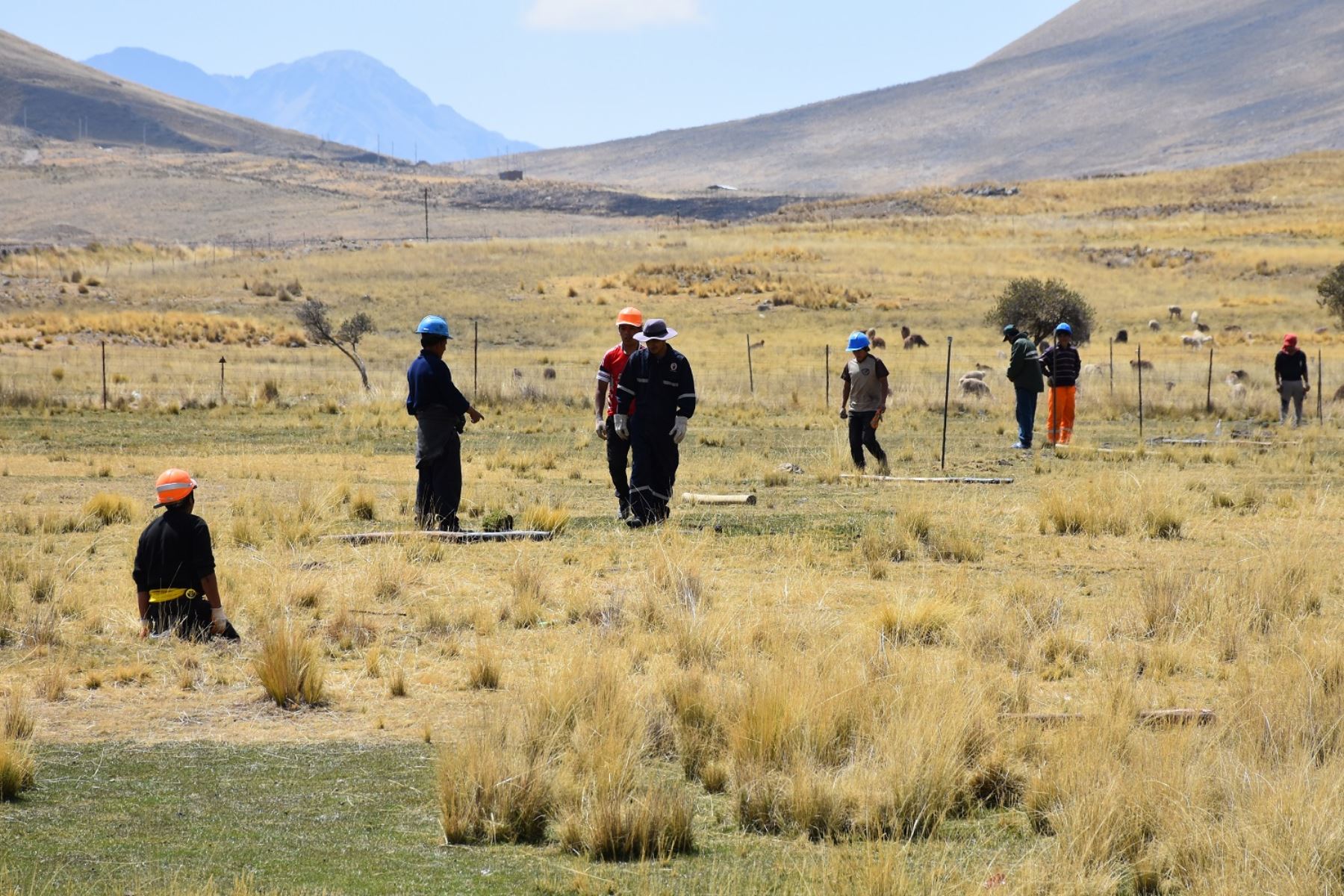 Científicos de Inaigem instalan parcelas para investigar ecosistemas de montaña en Cusco. ANDINA/Difusión
