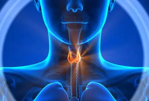 Es la tercera neoplasia más común en mujeres peruanas, luego del cáncer de mama y de cuello uterino. ANDINA/Difusión