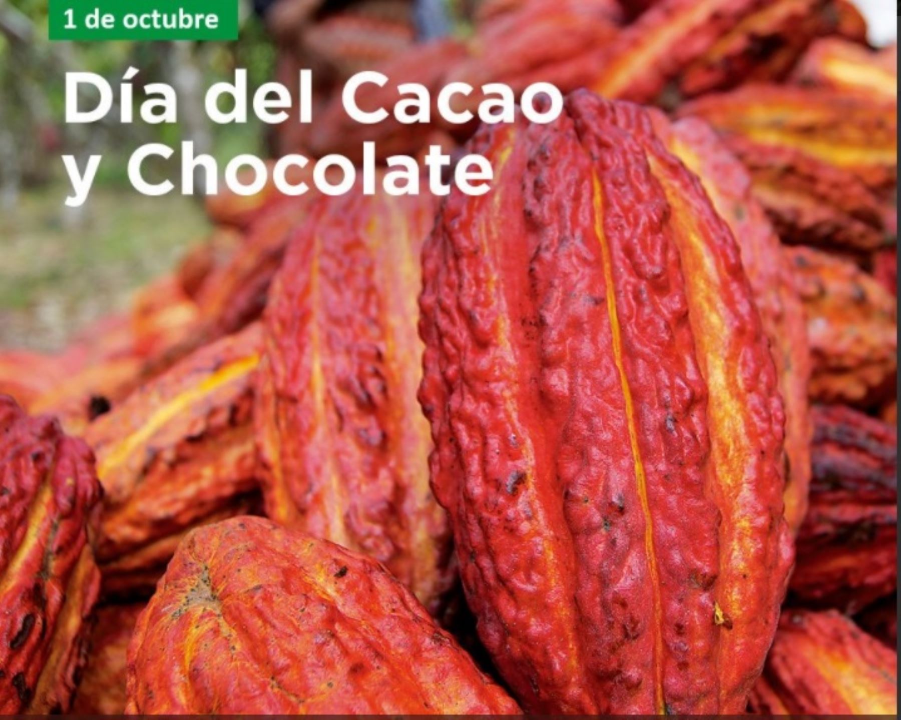 Turistas nacionales y extranjeros apreciaron la calidad del chocolate peruano,