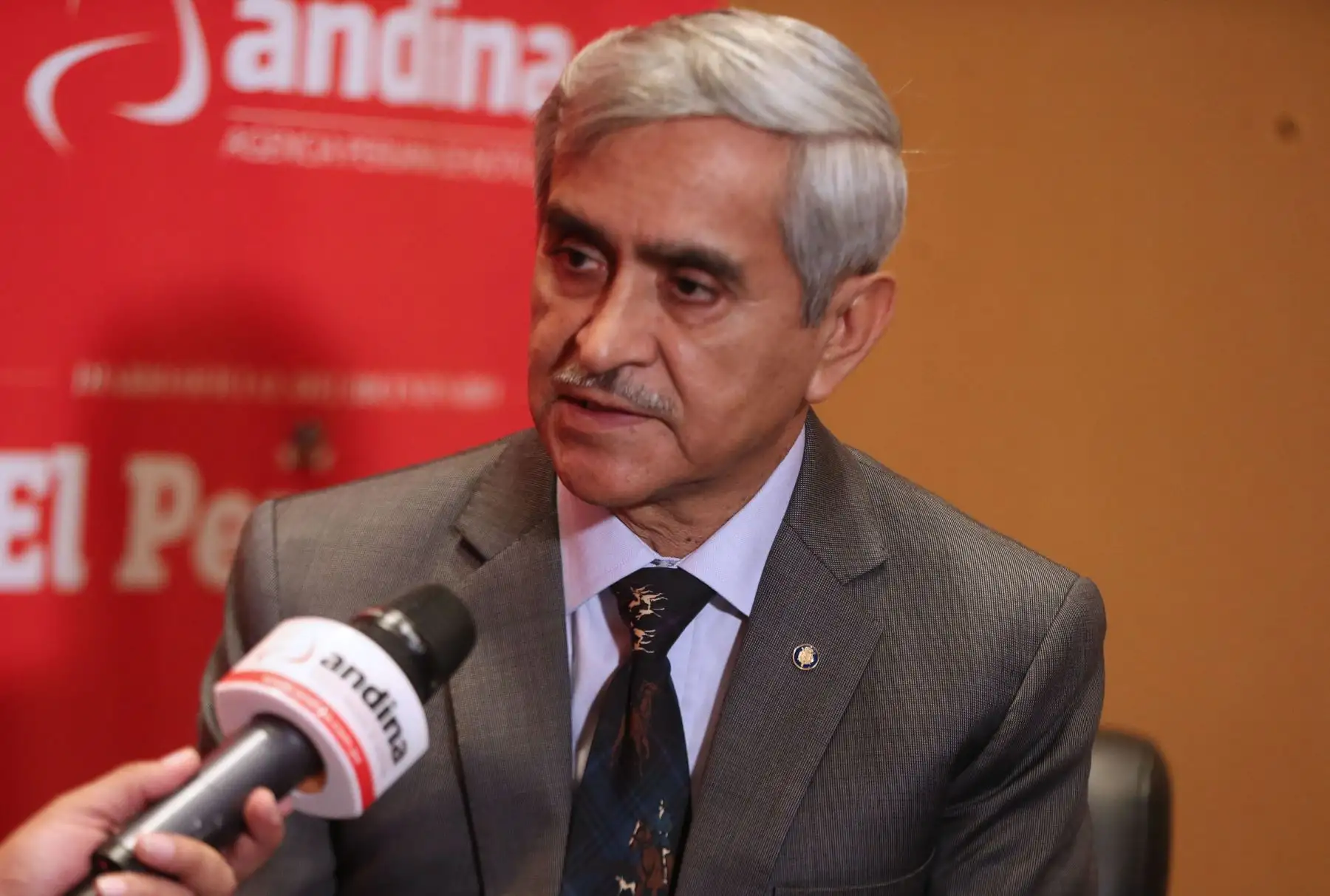 Foto: ANDINA/Vidal Tarqui.