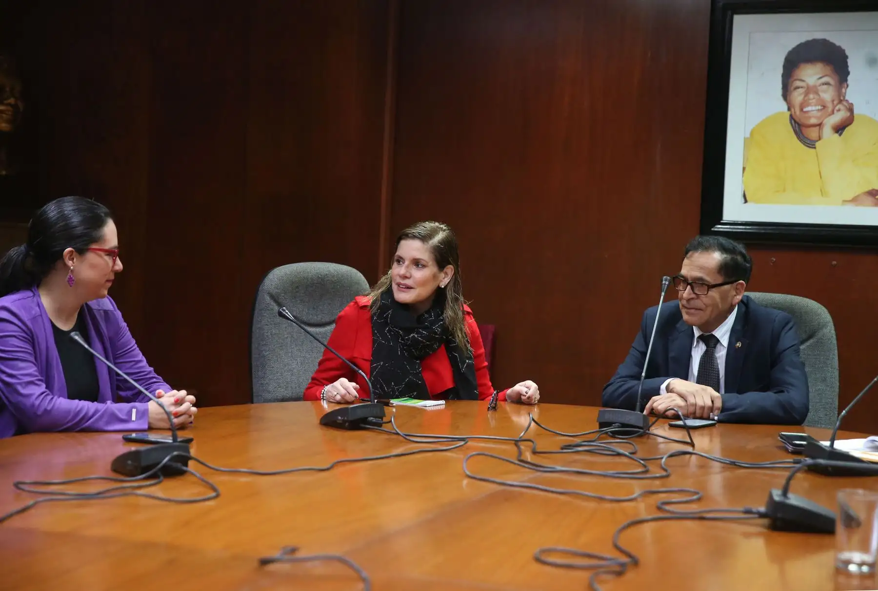 La presidenta del Consejo de Ministros, Mercedes Aráoz, se reúne con los congresistas del bloque Nuevo Perú.Foto: ANDINA/Vidal Tarqui.