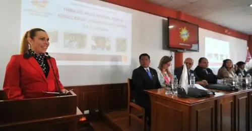 La ministra de Desarrollo e Inclusión Social (Midis), Fiorella Molinelli, invitó hoy a los jóvenes arequipeños a participar en la primera edición de “Hackathon Perú Hambre Cero, por un Perú sin anemia”, a realizarse en esa región este 14 y 15 de octubre.