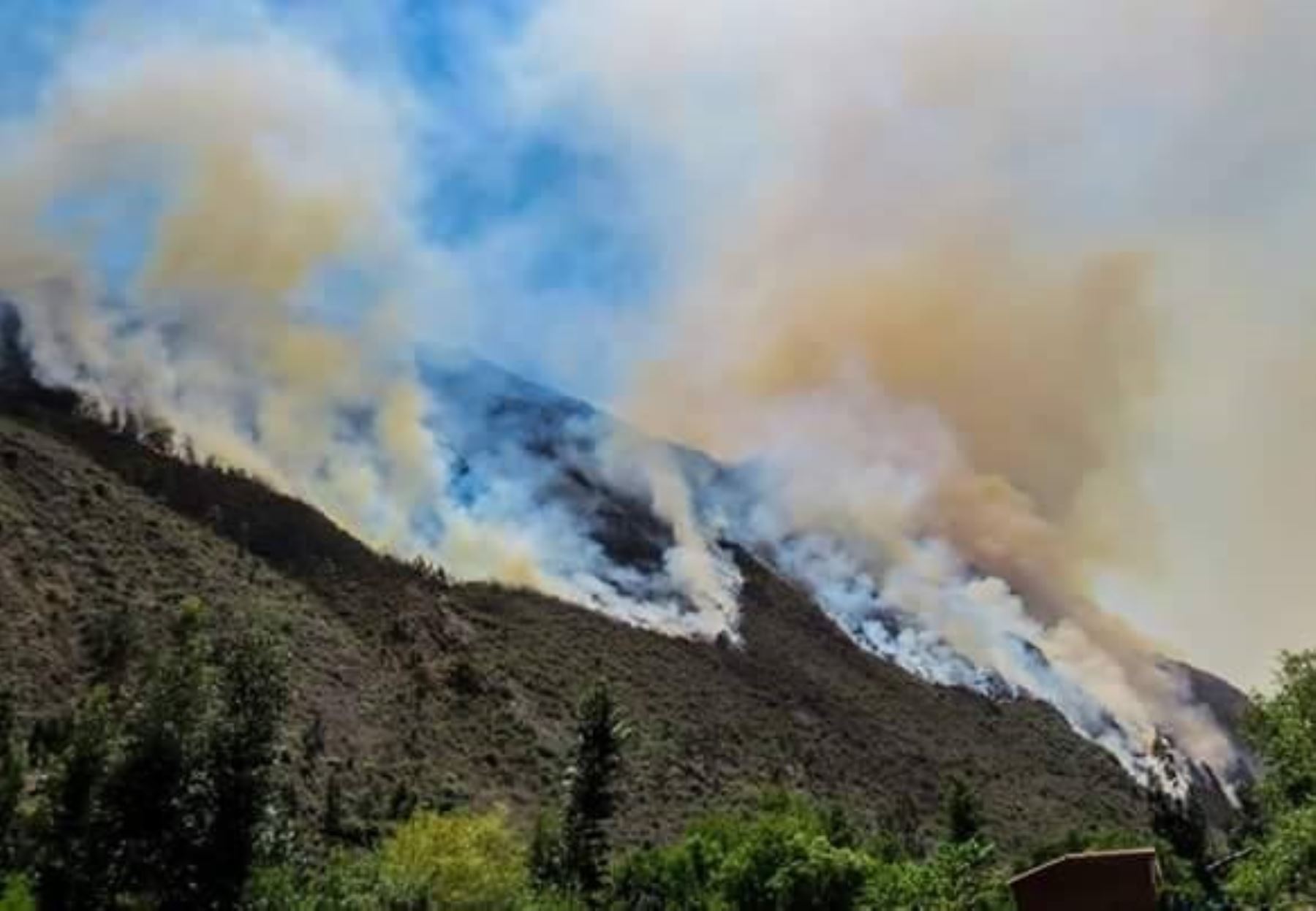 Tres incendios forestales afectan a varias provincias de Cusco.Foto:  ANDINA