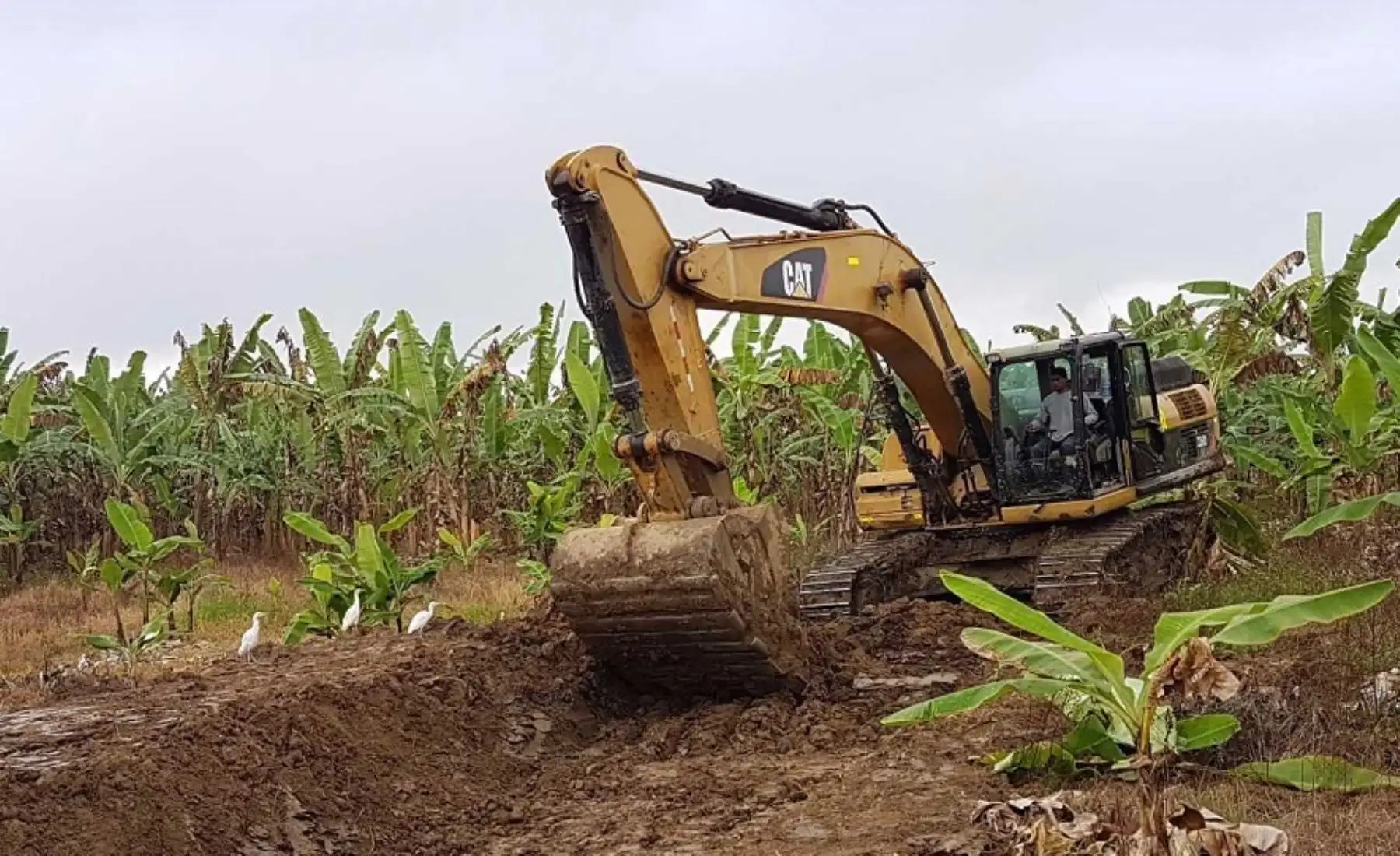 Obras de prevención en las cuencas de los ríos Piura y Chira