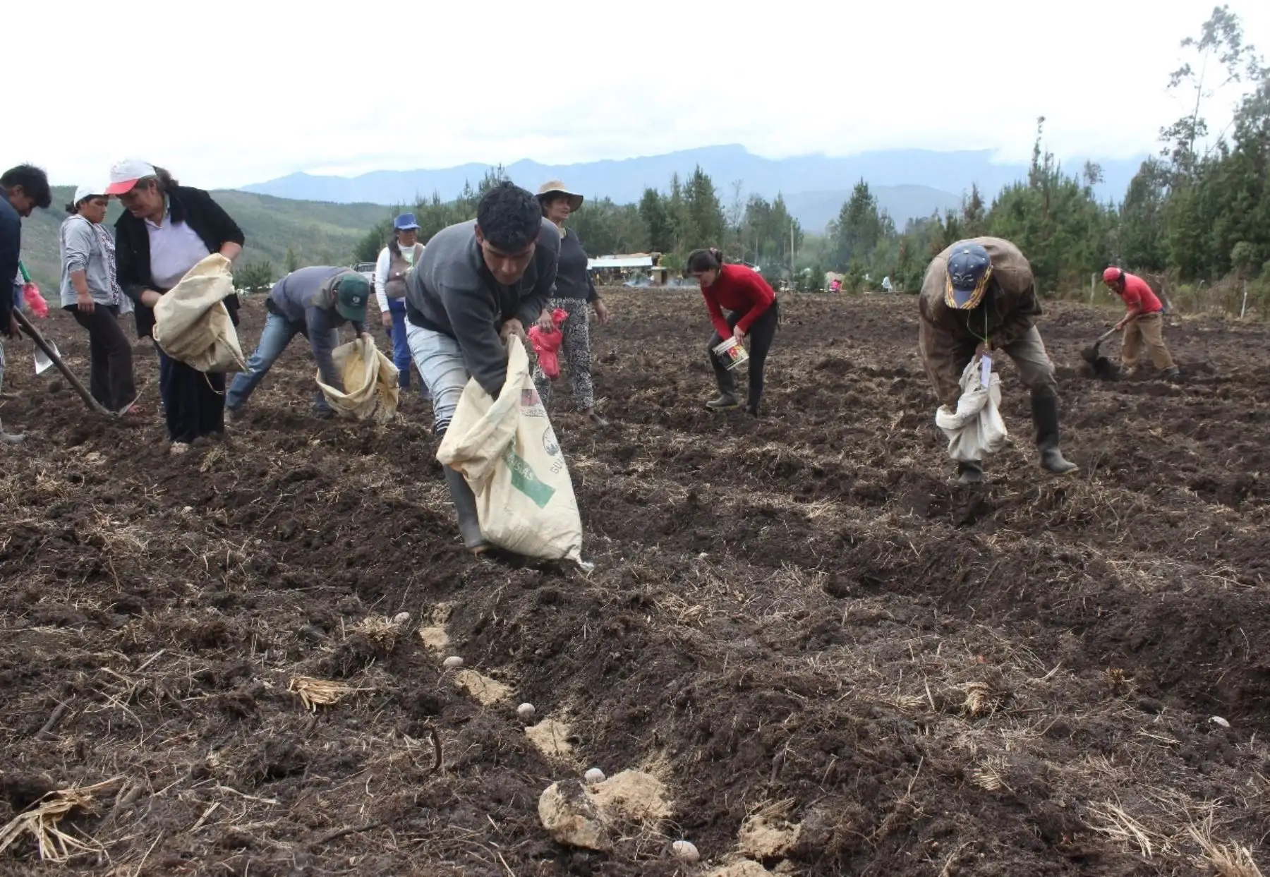 Agricultores. ANDINA/Difusión
