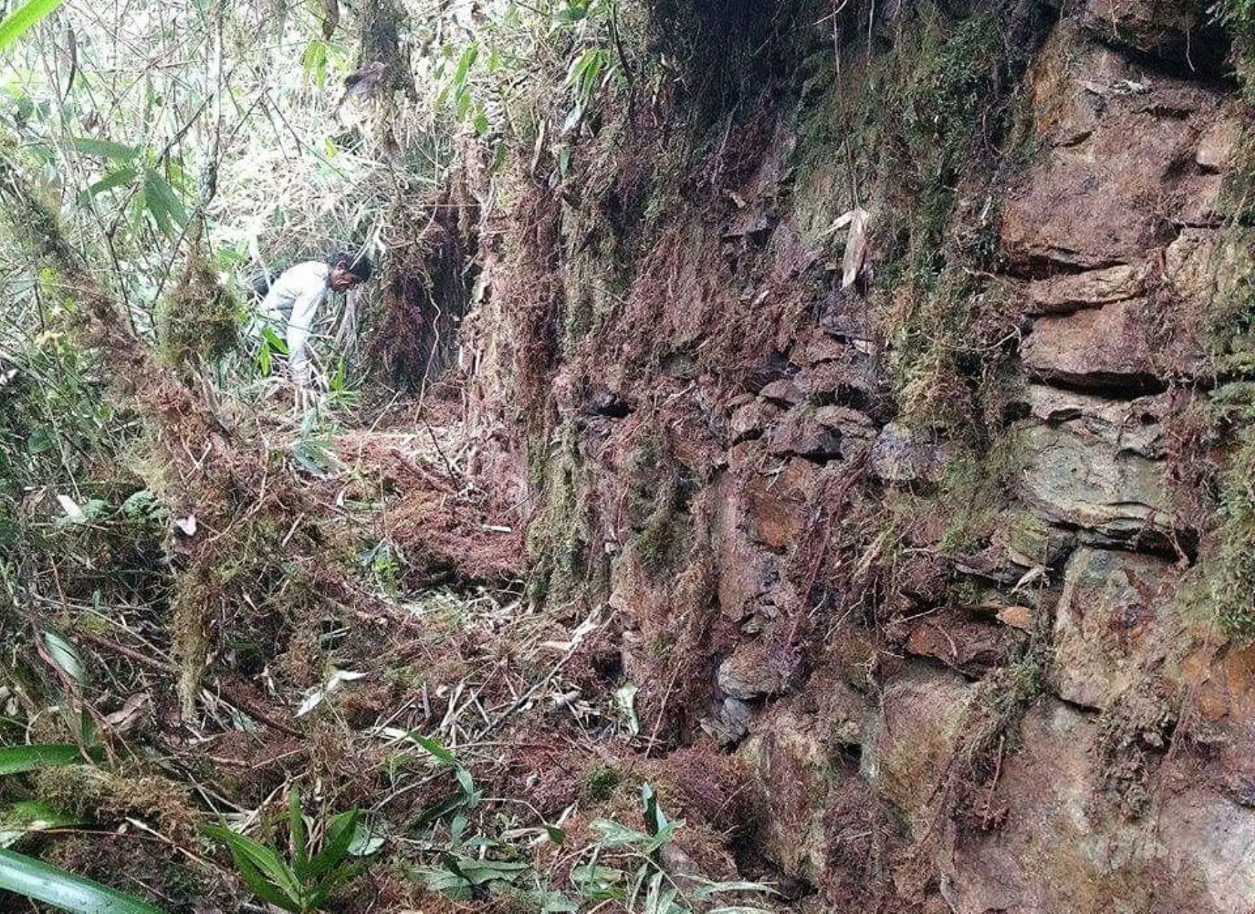 Autoridades implementarán acciones ante hallazgo de zona arqueológica en La Convención, Cusco.