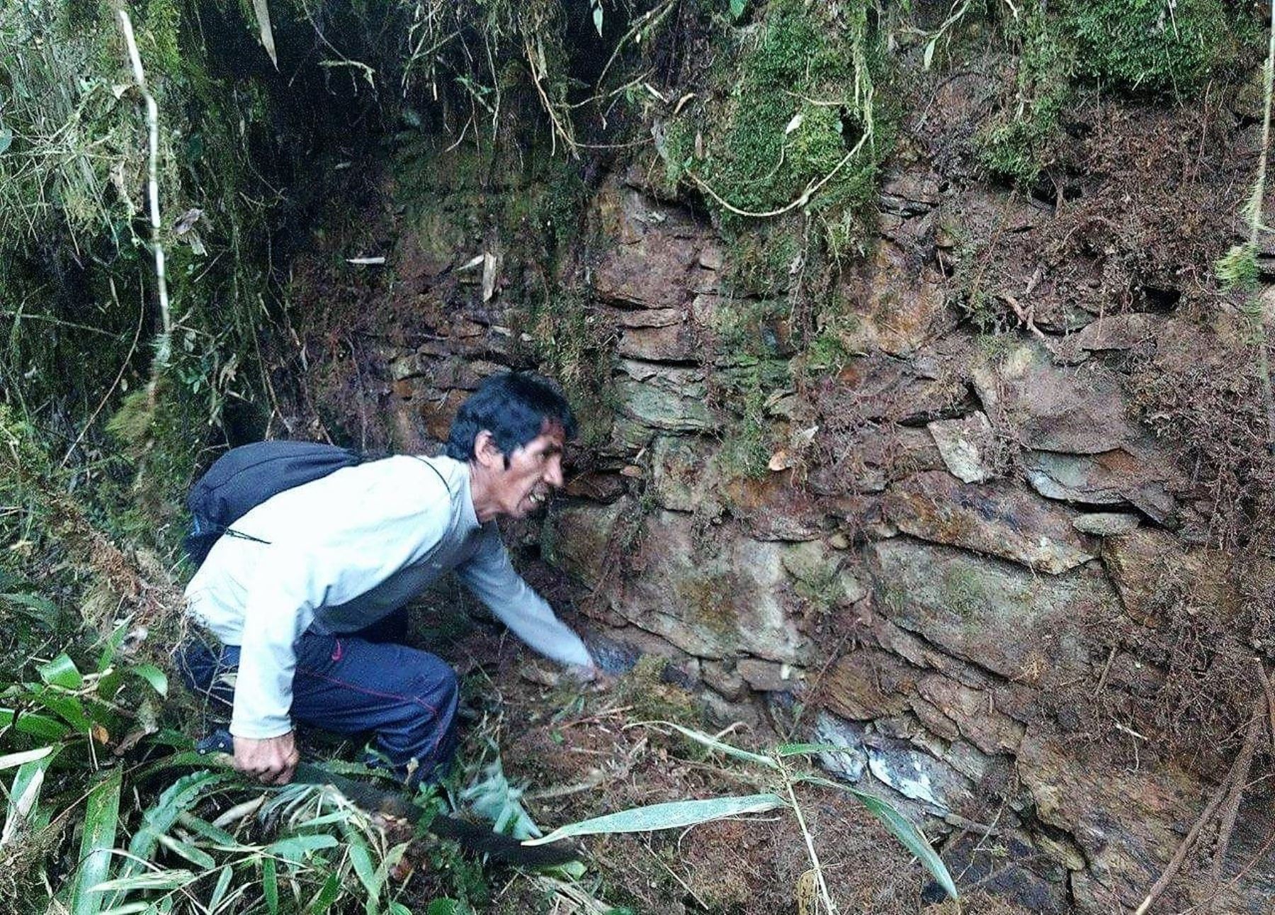 Hallan restos de ciudadela Inca en el límite de Calca y La Convención, en Cusco. Foto: Cortesía/Municipalidad de La Convención