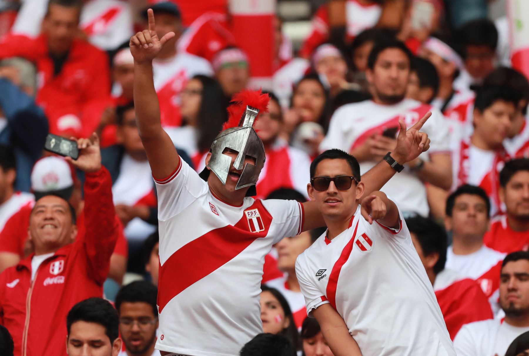 trist Skaldet konjugat World Cup: Get to know Peru fans' profile | News | ANDINA - Peru News Agency