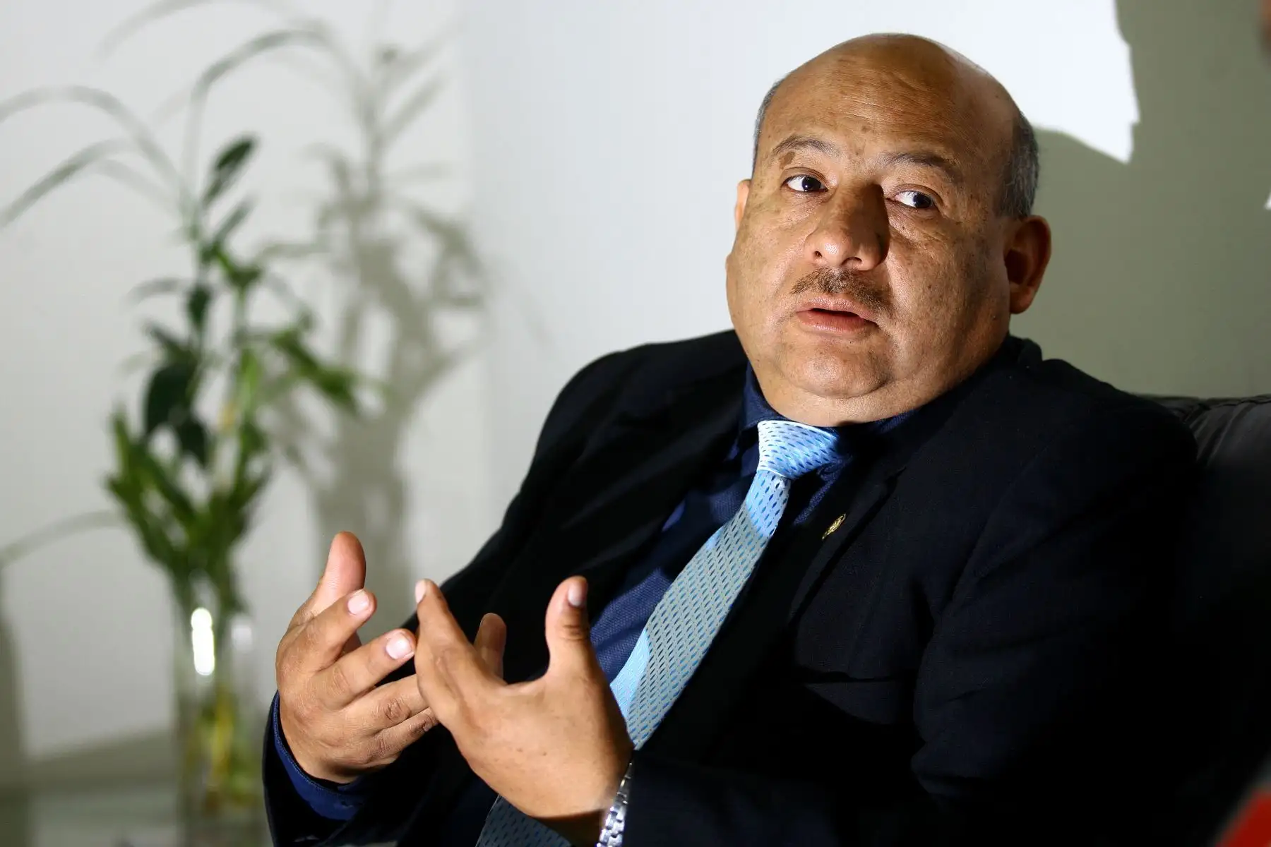 Foto: ANDINA/Luis Iparraguirre.