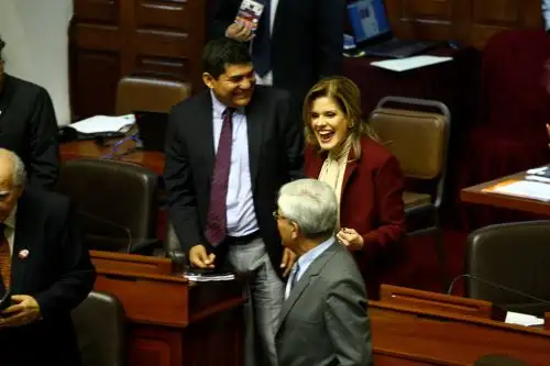 Foto: ANDINA/Luis Iparraguirre.