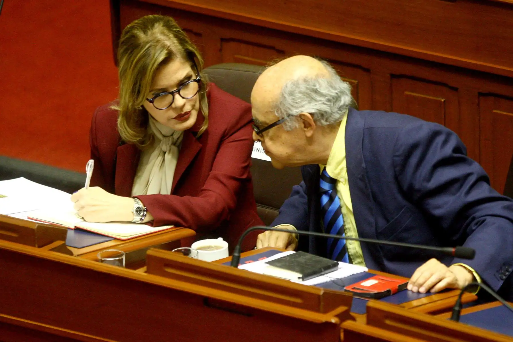 Foto: ANDINA/Luis Iparraguirre.