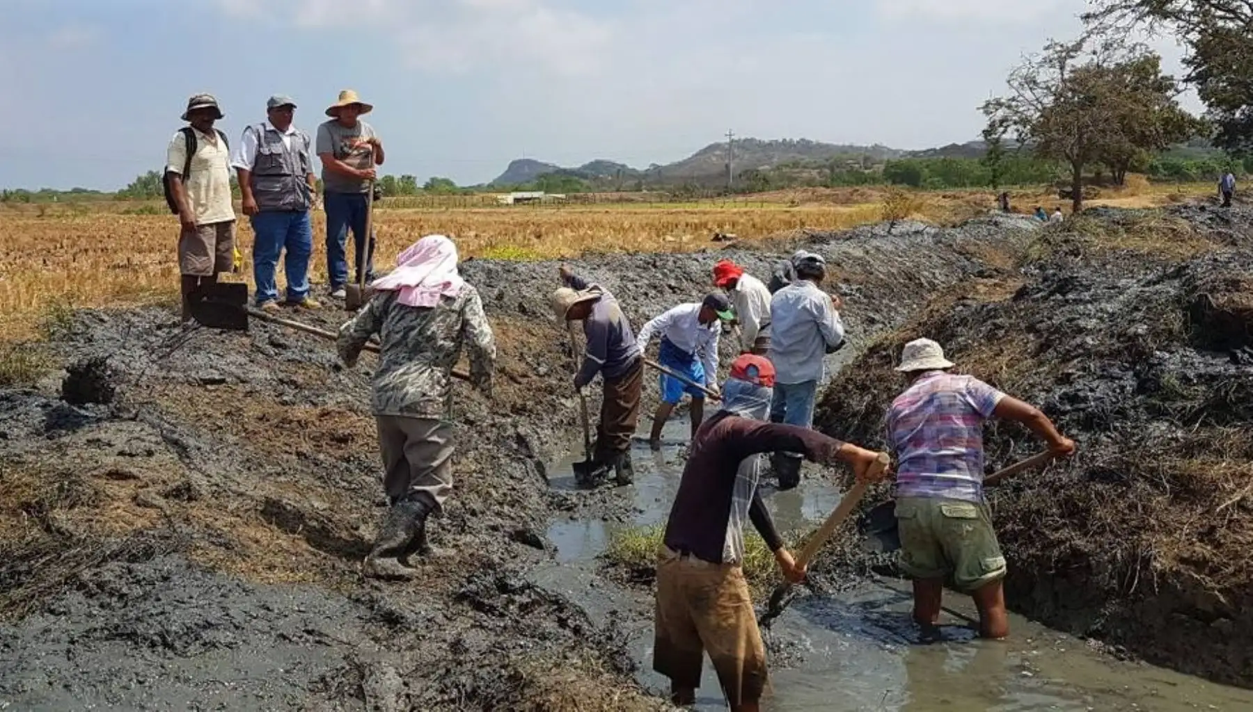 Más de 3,000 piuranos ya trabajan en el encauzamiento y limpieza de los ríos Chira y Piura, que tiene por objetivo prevenir desbordes ante la próxima temporada de lluvias, informó el Ministerio de Agricultura y Riego (Minagri).