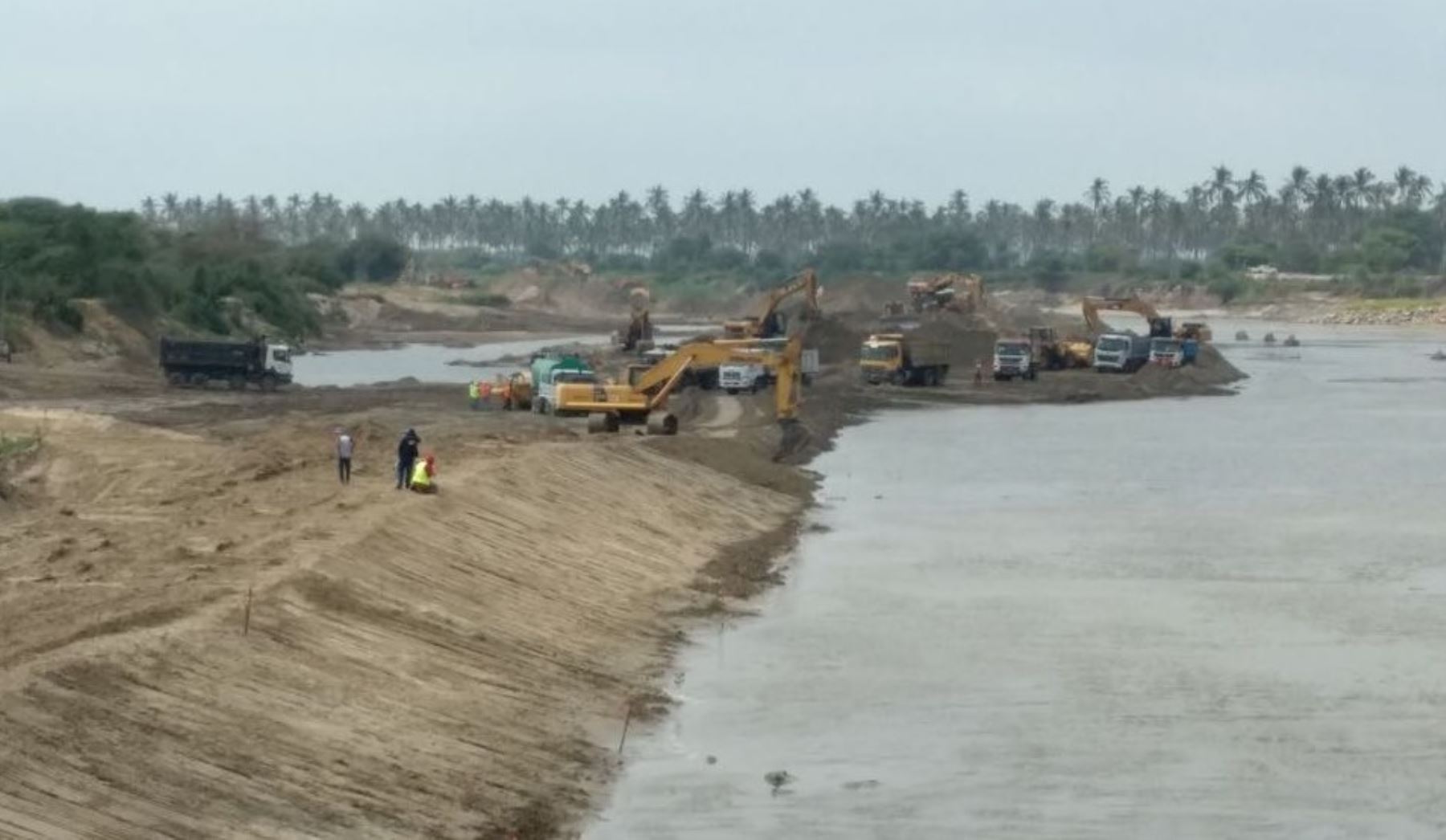 Más de 3,000 piuranos ya trabajan en el encauzamiento y limpieza de los ríos Chira y Piura, que tiene por objetivo prevenir desbordes ante la próxima temporada de lluvias, informó el Ministerio de Agricultura y Riego (Minagri).