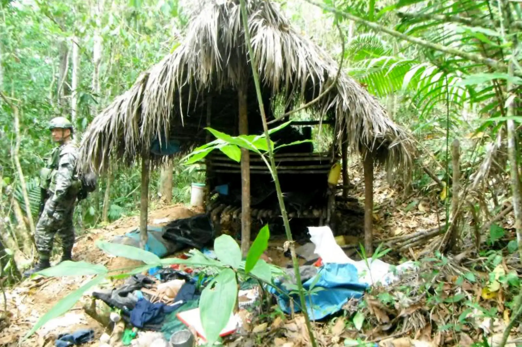 ANDINA/Difusión