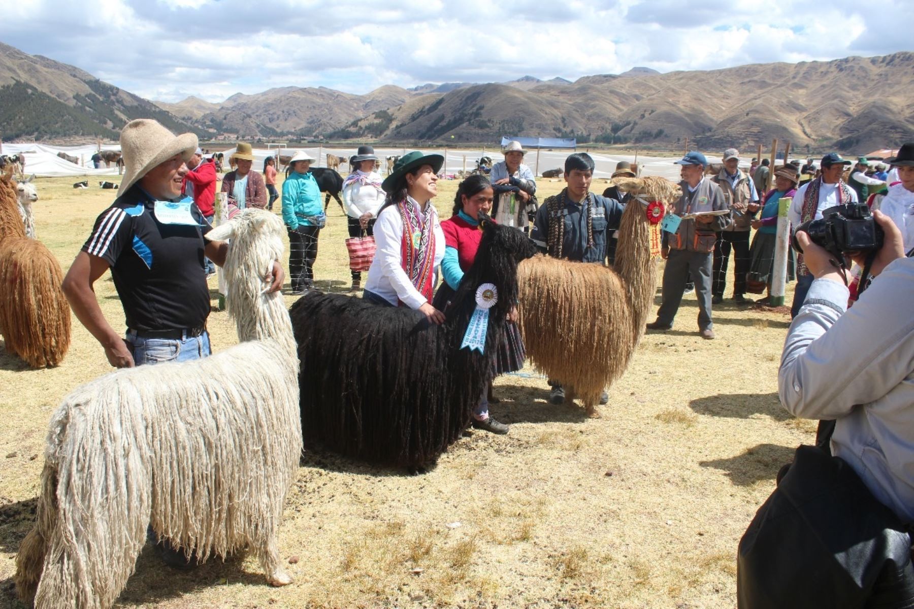 Agricultores de Cusco logran ventas por más de S/ 400,000 en feria regional. ANDINA/Difusión