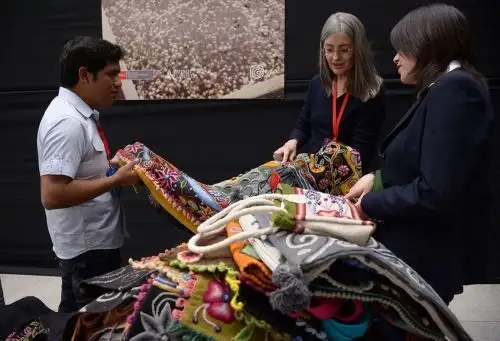 Sur Exporta lucirá mejores productos de la alpaca peruana durante rueda de negocios en Cusco. ANDINA/Difusión